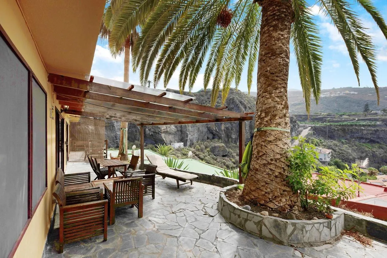Tropical Piso Ana Con Palmera San Marcos